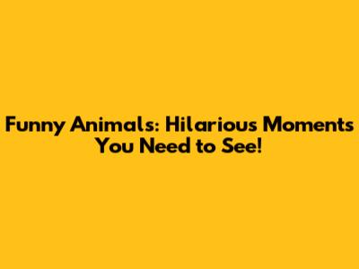 Funny Animals: Hilarious Moments You Need to See!