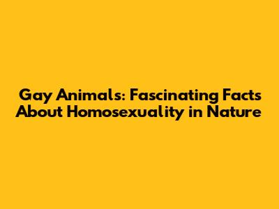 Gay Animals: Fascinating Facts About Homosexuality in Nature