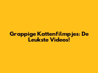 Grappige Kattenfilmpjes: De Leukste Video's!