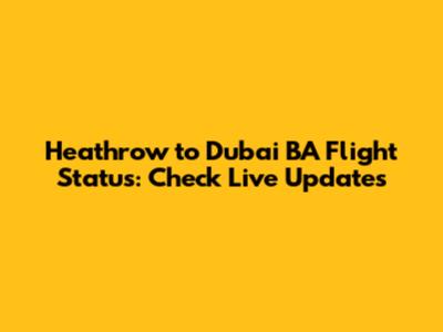 Heathrow to Dubai BA Flight Status: Check Live Updates