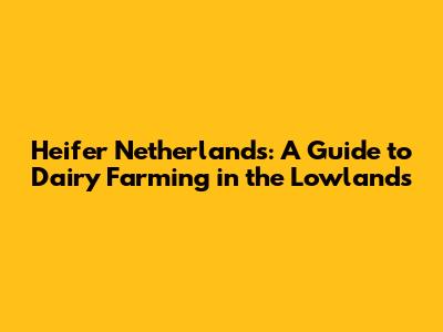 Heifer Netherlands: A Guide to Dairy Farming in the Lowlands