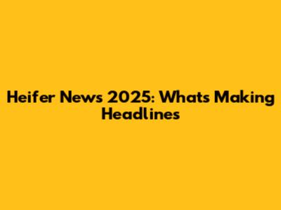 Heifer News 2025: What's Making Headlines