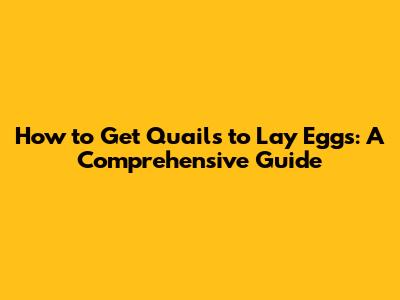 How to Get Quails to Lay Eggs: A Comprehensive Guide