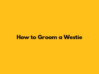 How to Groom a Westie