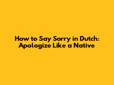 How to Say Sorry in Dutch: Apologize Like a Native