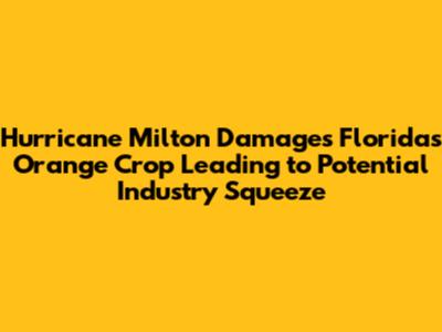 Hurricane Milton Damages Florida's Orange Crop Leading to Potential Industry Squeeze