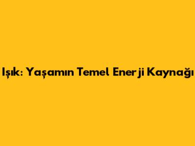 Işık: Yaşamın Temel Enerji Kaynağı