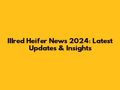 IIIred Heifer News 2024: Latest Updates & Insights