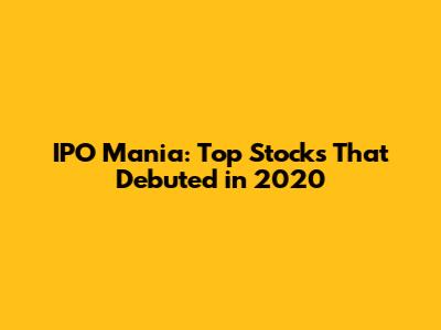 IPO Mania: Top Stocks That Debuted in 2020