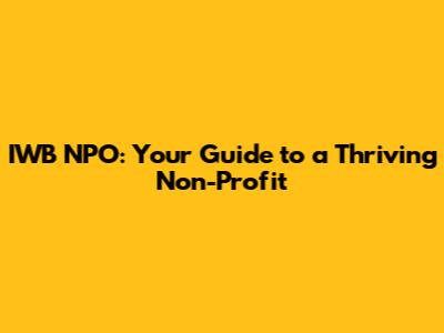IWB NPO: Your Guide to a Thriving Non-Profit