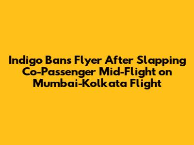 Indigo Bans Flyer After Slapping Co-Passenger Mid-Flight on Mumbai-Kolkata Flight