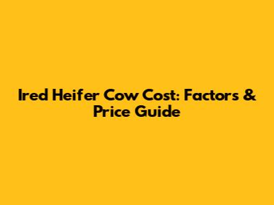 Ired Heifer Cow Cost: Factors & Price Guide