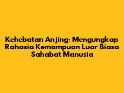 Kehebatan Anjing: Mengungkap Rahasia Kemampuan Luar Biasa Sahabat Manusia