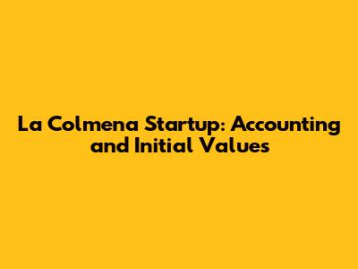 La Colmena Startup: Accounting and Initial Values