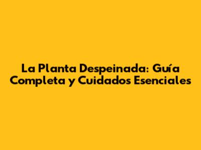 La Planta Despeinada: Guía Completa y Cuidados Esenciales