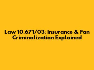 Law 10.671/03: Insurance & Fan Criminalization Explained
