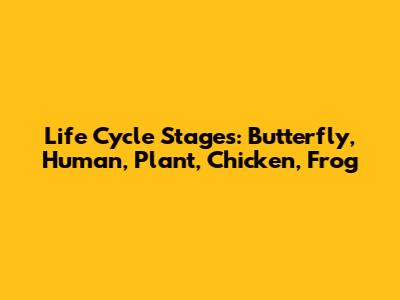 Life Cycle Stages: Butterfly, Human, Plant, Chicken, Frog