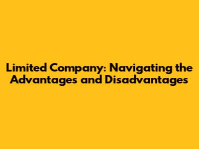 Limited Company: Navigating the Advantages and Disadvantages