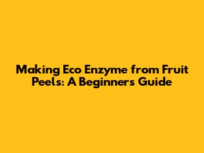 Making Eco Enzyme from Fruit Peels: A Beginner's Guide