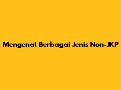 Mengenal Berbagai Jenis Non-JKP
