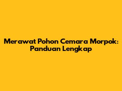 Merawat Pohon Cemara Morpok: Panduan Lengkap