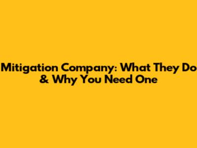 Mitigation Company: What They Do & Why You Need One
