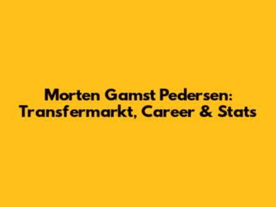Morten Gamst Pedersen: Transfermarkt, Career & Stats