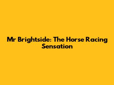 Mr Brightside: The Horse Racing Sensation