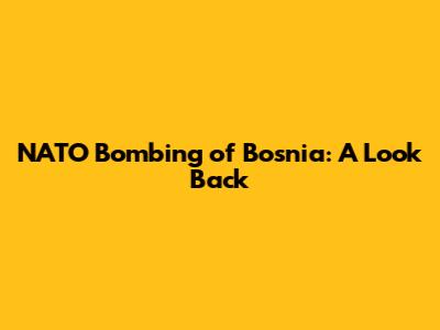 NATO Bombing of Bosnia: A Look Back