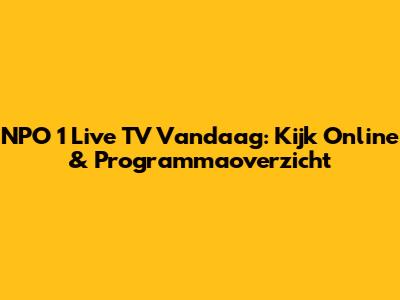 NPO 1 Live TV Vandaag: Kijk Online & Programmaoverzicht