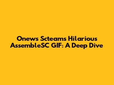 Onews Scteam's Hilarious AssembleSC GIF: A Deep Dive
