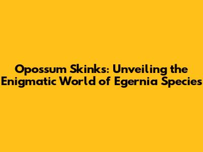 Opossum Skinks: Unveiling the Enigmatic World of *Egernia* Species