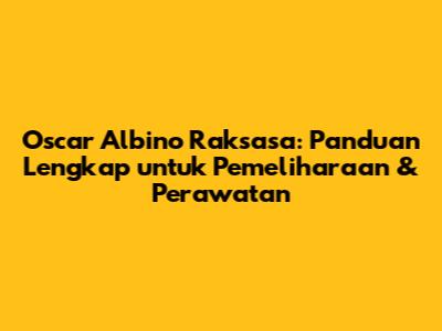 Oscar Albino Raksasa: Panduan Lengkap untuk Pemeliharaan & Perawatan