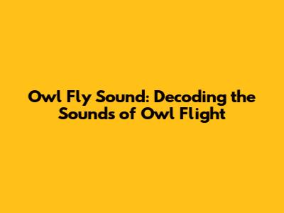 Owl Fly Sound: Decoding the Sounds of Owl Flight