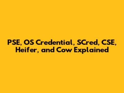 PSE, OS Credential, SCred, CSE, Heifer, and Cow Explained