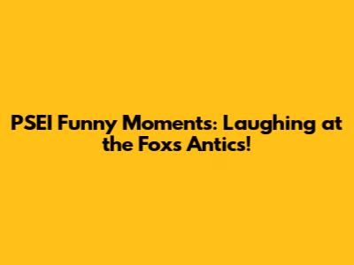 PSEI Funny Moments: Laughing at the Fox's Antics!
