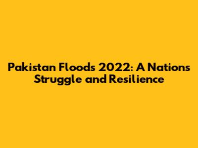 Pakistan Floods 2022: A Nation's Struggle and Resilience