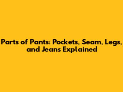 Parts of Pants: Pockets, Seam, Legs, and Jeans Explained