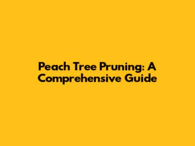 Peach Tree Pruning: A Comprehensive Guide