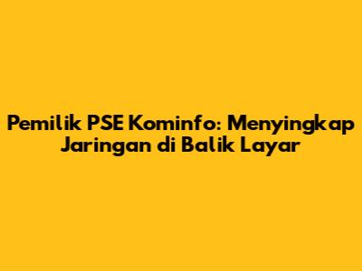 Pemilik PSE Kominfo: Menyingkap Jaringan di Balik Layar