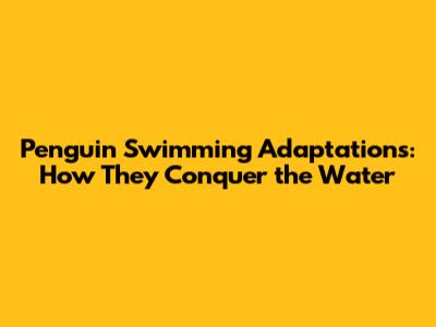 Penguin Swimming Adaptations: How They Conquer the Water