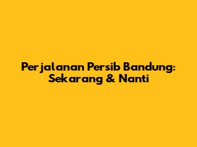 Perjalanan Persib Bandung: Sekarang & Nanti