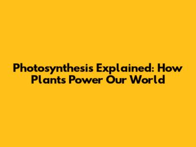 Photosynthesis Explained: How Plants Power Our World