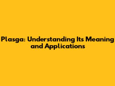 Plasga: Understanding Its Meaning and Applications