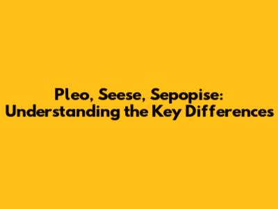 Pleo, Seese, Sepopise: Understanding the Key Differences