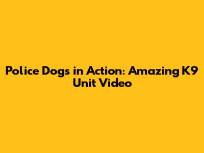 Police Dogs in Action: Amazing K9 Unit Video