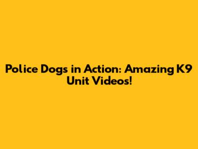 Police Dogs in Action: Amazing K9 Unit Videos!