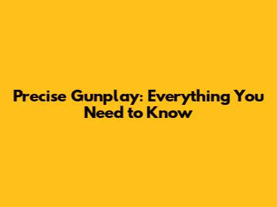 Precise Gunplay: Everything You Need to Know