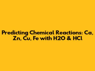 Predicting Chemical Reactions: Ca, Zn, Cu, Fe with H2O & HCl