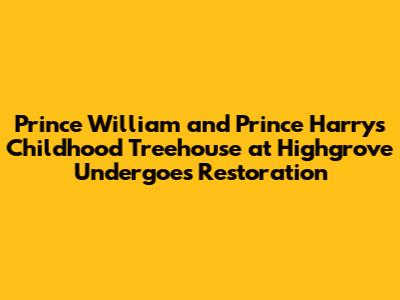 Prince William and Prince Harry's Childhood Treehouse at Highgrove Undergoes Restoration